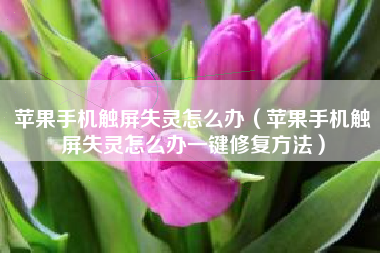 苹果手机触屏失灵怎么办（苹果手机触屏失灵怎么办一键修复方法）