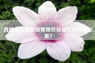 直播虚拟背景需要哪些设备？该如何配置？