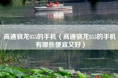 高通骁龙855的手机（高通骁龙855的手机有哪些便宜又好）