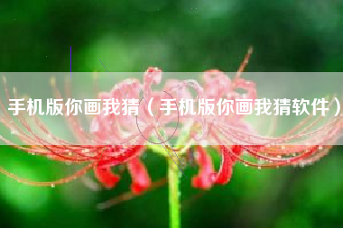 手机版你画我猜（手机版你画我猜软件）