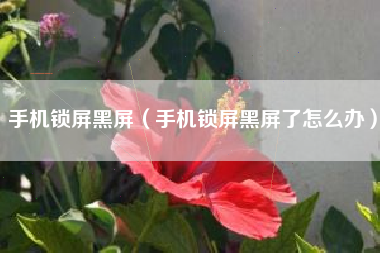 手机锁屏黑屏（手机锁屏黑屏了怎么办）