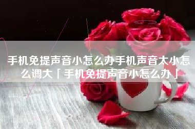 手机免提声音小怎么办手机声音太小怎么调大「手机免提声音小怎么办」