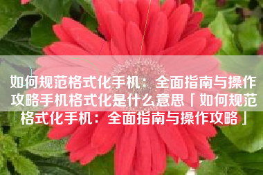 如何规范格式化手机：全面指南与操作攻略手机格式化是什么意思「如何规范格式化手机：全面指南与操作攻略」