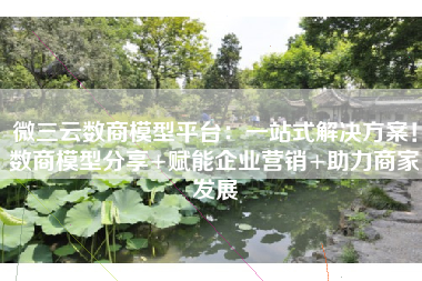 微三云数商模型平台：一站式解决方案！数商模型分享+赋能企业营销+助力商家发展