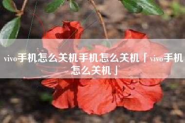 vivo手机怎么关机手机怎么关机「vivo手机怎么关机」