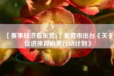 【赛事经济看东营5】东营市出台《关于促进体育消费行动计划》