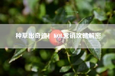 种草出奇迹！KOL营销攻略解密