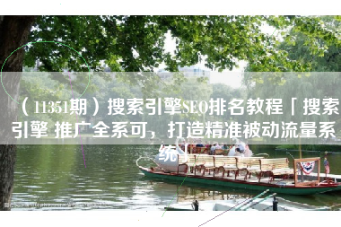 （11351期）搜索引擎SEO排名教程「搜索引擎 推广全系可，打造精准被动流量系统」